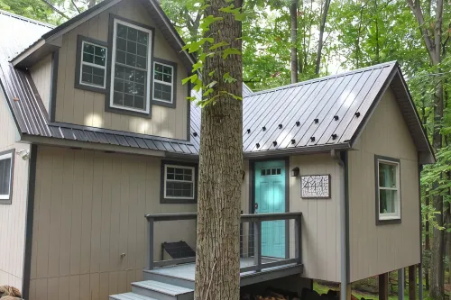 The Cabin on the Run
