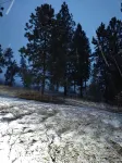 Clean Cozy Family Home near Whitworth University, park,shopping and Mt Spokane - Bungalows