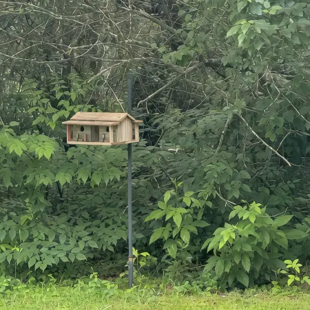 Peaceful and Safe! Pet Friendly!