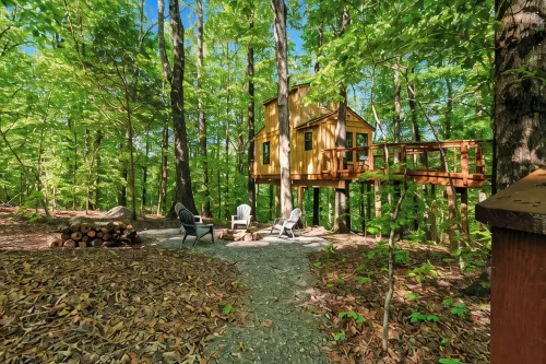 Private Treehouse getaway on Lake Barkley.  Luxury in the trees!