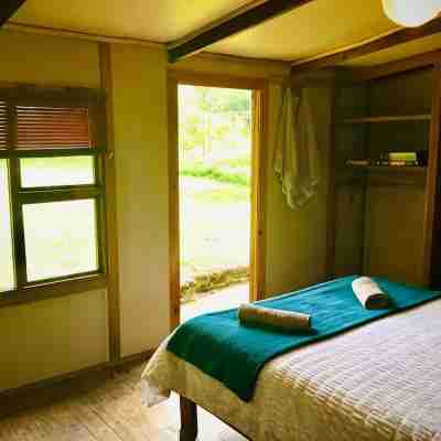 Enchanting Forest Cabin in Tsitsikamma Fitness & Recreational Facilities