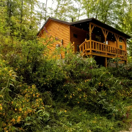 Peaceful Cabin in the Forest with Hot Tub & Views - Hill Haven