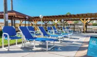 Gulfview II #410 Luxe - Apartments