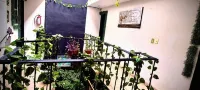 Mini Hotel San Luis Potosí - Pet friendly