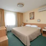 By Zont  Hotel Group Airhotel Domodedovo Hotel - Pet friendly