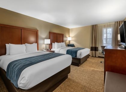 Comfort Inn Ocala Silver Springs
