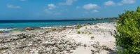 Oceanfront Villa, private pool, gazebo, great diving and snorkeling steps away - 精品