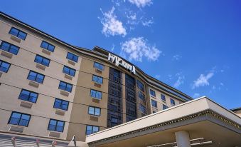 Hotel Must