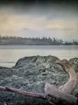 Driftwood Studio Loft#Oceanfront Park Area#Quiet! - 3-Star