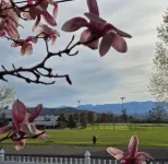 Mountain-View Retreat @ Heart of Hudson with Decks, Designer Decor & Game - Villas