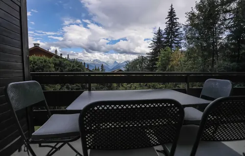 My cozy escape in Crans Montana - Homestays