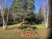 Log Cabin Adirondack Lodge on State Trail System   That is “PET FRIENDLY” - Wifi