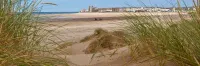 Claxton Hotel - Beach