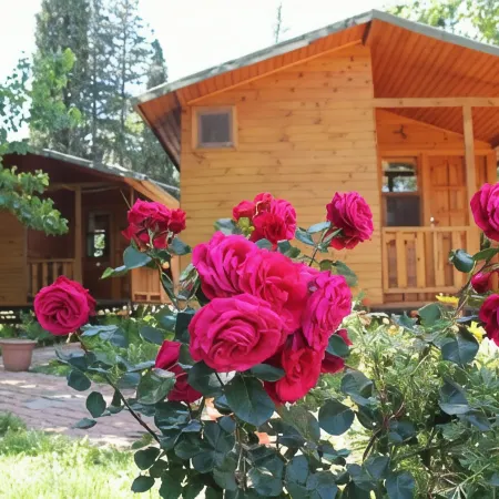 Duran Bungalow