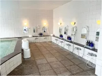 Ayaha Lakeside Hotel - Hot Springs