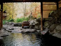 Lamp No Yado Aoni Onsen - Suối nước nóng