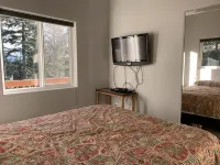 Stunning, New 2 bedroom Unit Minutes from Alyeska Resort Hotels near Bear Cub