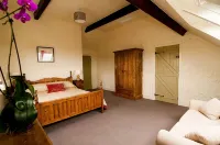 A Unique Cottage, Doolin  Breathtaking Ocean & Burren views - Homestays