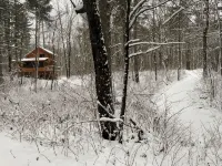 Quiet Sports Oasis-Wooded & Private - Chalets