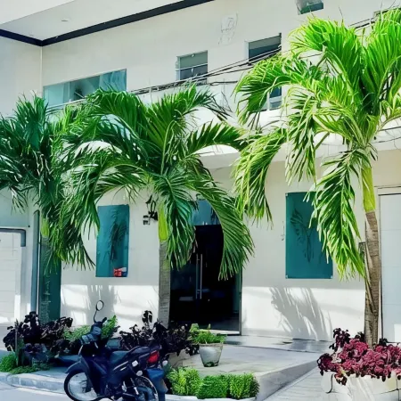 Hotel Fenix