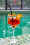 Hotel Spa & Restaurant Cantemerle - bar