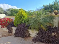 La Casa De Ioanna kissamos-Crete! - Bungalows