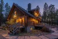 Modern Rustic Cabin – Whispering Pines, Wildlife, Trails, 5-Acres & Starry Skies - Bungalows