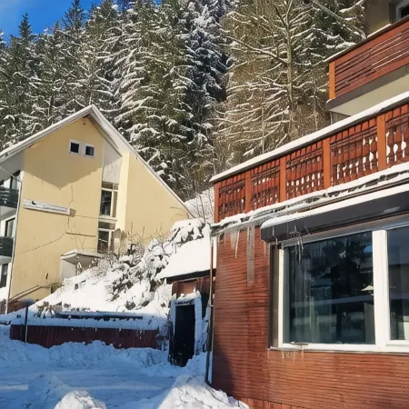 Familienapartments Wildemann
