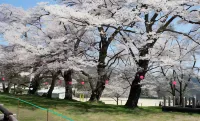 Nashikisou