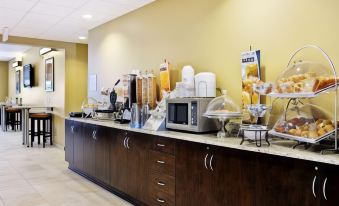 Microtel Inn & Suites by Wyndham Marietta