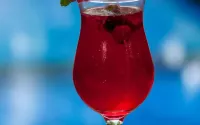 Coconut Boutique Resort - bar