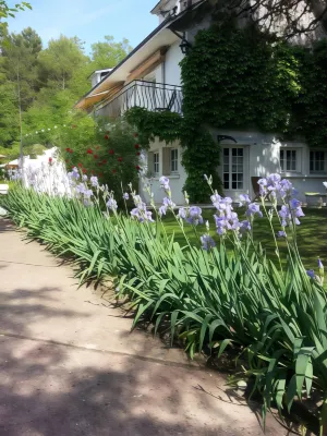 Studios les Iris Hotels in Pouille