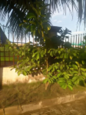 Temaya Cottage Lodge Hotéis em 