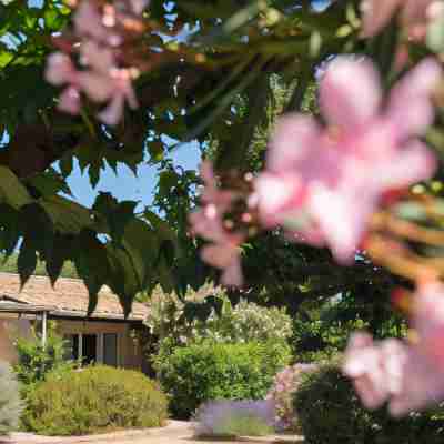 SOWELL Family Cap d'Agde Hotel Exterior