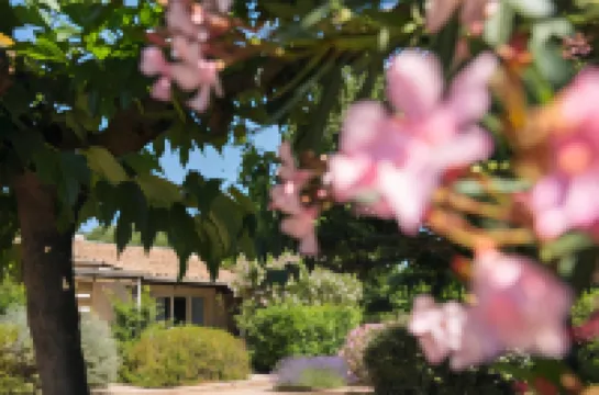 Sowell Family Cap D’Agde