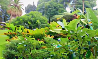 Wild Ginger Hotel