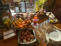 Country Sunshine Bed and Breakfast Hotels in La Plata County