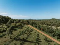 High Valley Dawn Permaculture Farm Hotels in Emu Park