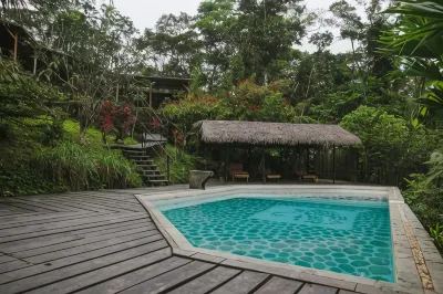 Hamadryade Lodge Hotels in 
