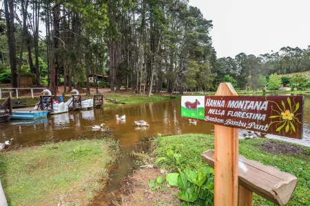 Hotel Fazenda Floresta Negra Отели рядом с достопримечательностью «Escola Mineira de Falcoaria»