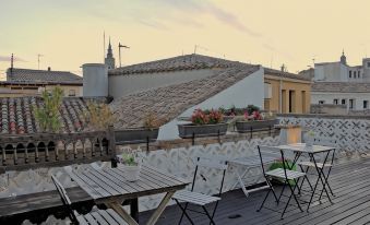 Oasis Backpackers' Toledo