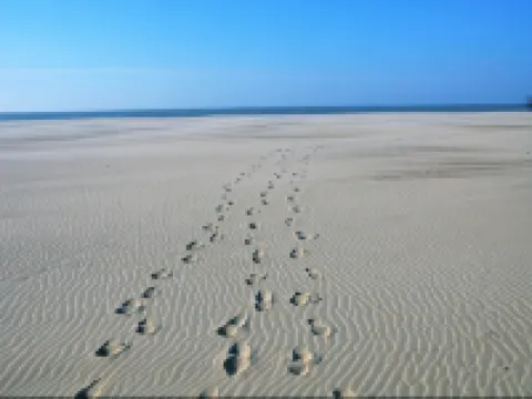 Apartment in Nieuwpoort by the Marina