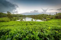 Bubble Lodge Bois Chéri Plantation Hotels in Curepipe
