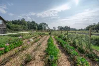 Saratoga Farmstead B&B - Parking