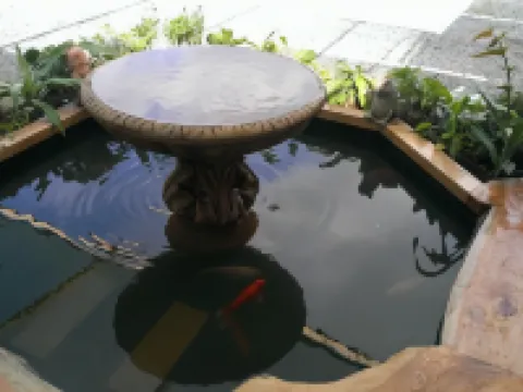 Acacia Rose Motor Inn Hotels in Barham