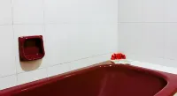 Global Hotel