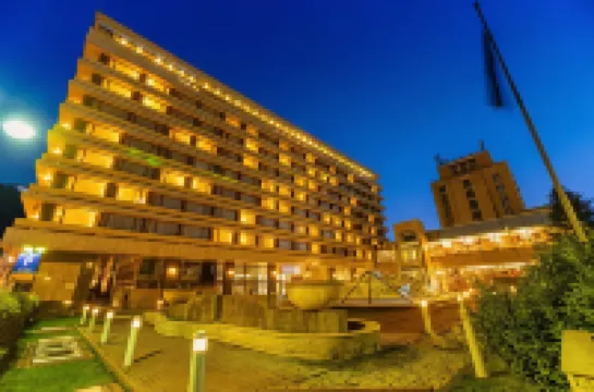 Hotel Aro Palace Hotel a 