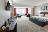 Prestige Boutique Hotel Craiova - WiFi