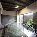 Silk Inn Kagoshima - suối nước nóng