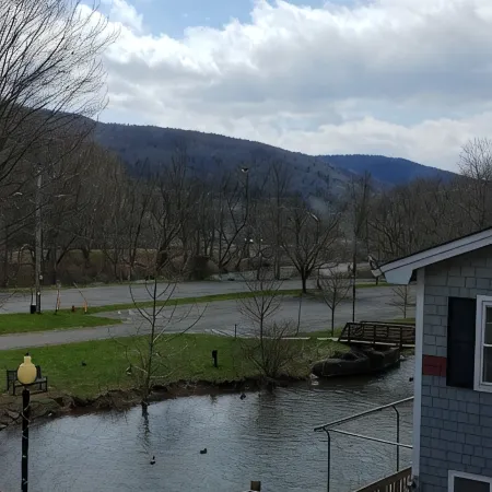 Binnekill Views- Cozy Apt over looking the Binnekill stream
